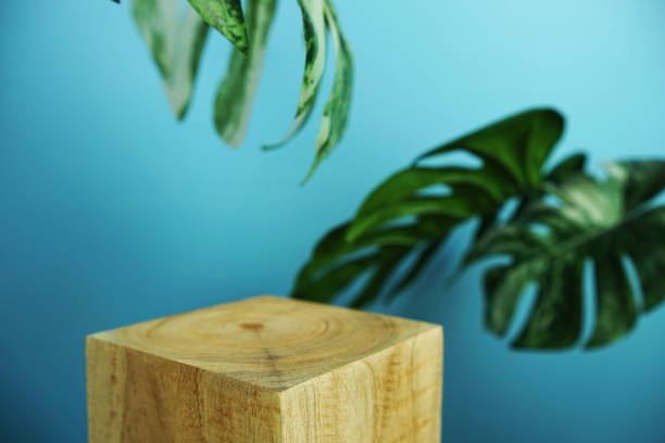 istock Wooden podium display scene stage showcase front view with copy space and monstera leaves decoration on blue background 2193801040