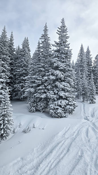 istock Skiing on a Snowy Day in Vail, Colorado 2193801257