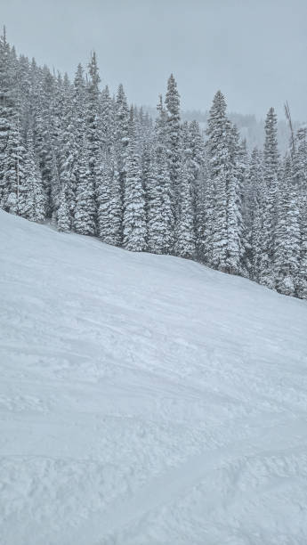 istock Skiing on a Snowy Day in Vail, Colorado 2193801404