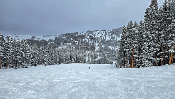 Skiing on a Snowy Day in Vail, Colorado
