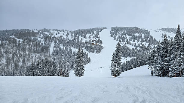 istock Skiing on a Snowy Day in Vail, Colorado 2193801501