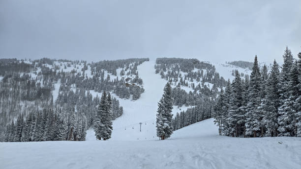 istock Skiing on a Snowy Day in Vail, Colorado 2193801523