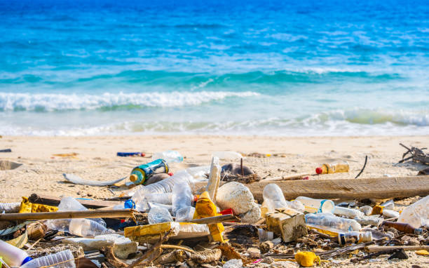 istock trash, plastic cups and plastic bags at the beach. environmental problem concept and healing the world 2193801692