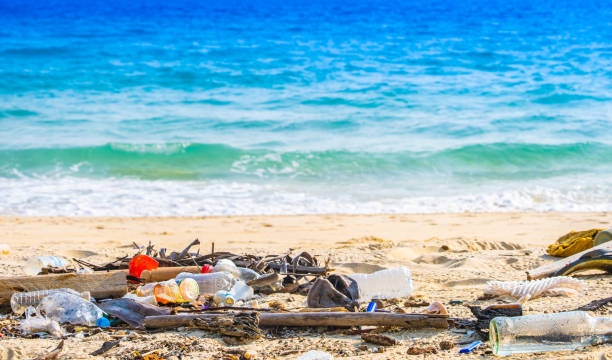 istock trash, plastic cups and plastic bags at the beach. environmental problem concept and healing the world 2193801696