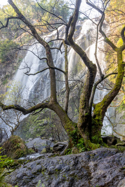 istock Khlong Lan Waterfall, Khlong Lan National Park, Kamphaeng Phet, in Thailand 2193804299