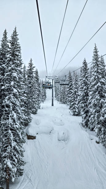 istock Snow Skiing in Vail, Colorado in January 2193805890