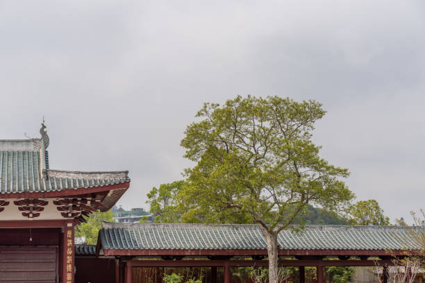 Traditional Chinese Temple Architecture Structure and Trees