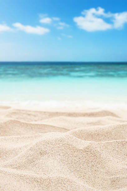 istock Empty sand beach with tropical turquoise sea and sunny blue sky copy space scene 2193807228