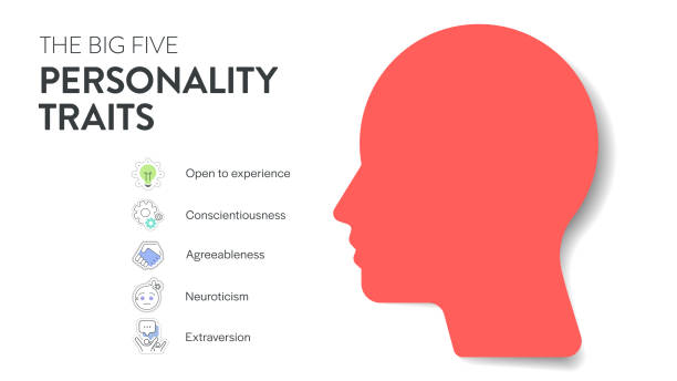 istock Big Five Personality Traits or OCEAN infographic has 4 types of personality, Agreeableness, Openness to Experience, Neuroticism, Conscientiousness and Extraversion. Mental health presentation vector. 2193808587