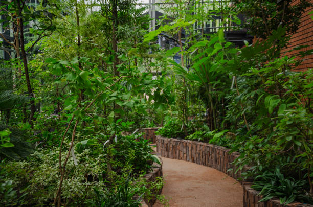 Walking path in the greenhouse garden among different plants. High quality photo