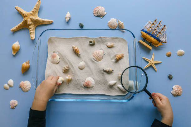 istock Flat lay of a sensory activity with a glass dish filled with sand and seashells, accompanied by a magnifying glass and a starfish on a light blue background. Perfect for creative and educational play 2193813697