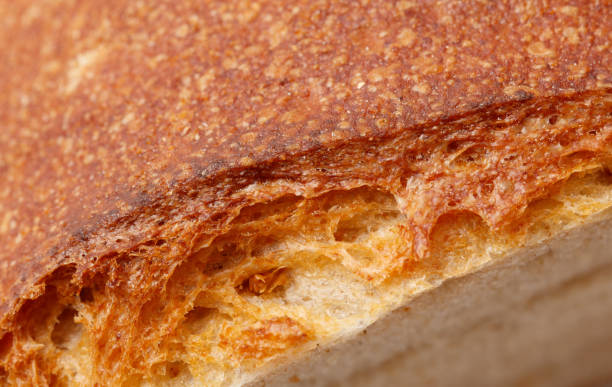 istock A slice of bread with a brown crust and a slightly burnt edge 2193815555