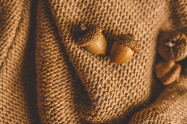 Close-up of autumn elements on the grass: brown oak leaf, acorns with caps, and a dry twig. Natural seasonal background symbolizing fall, harvest, and woodland nature.