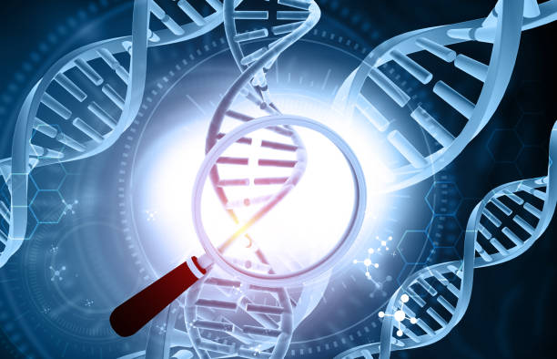 istock Magnifying glass on dna strand 2193818841