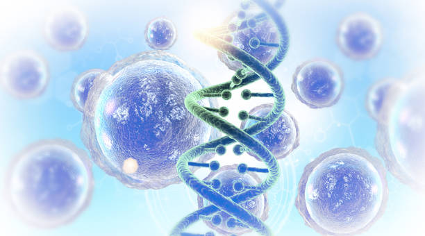 istock Human DNA strand on scientific background 2193819069