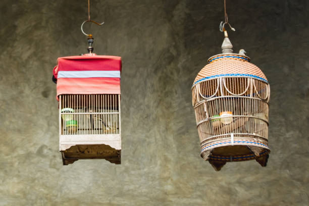 istock Wooden bird cage 2193822231