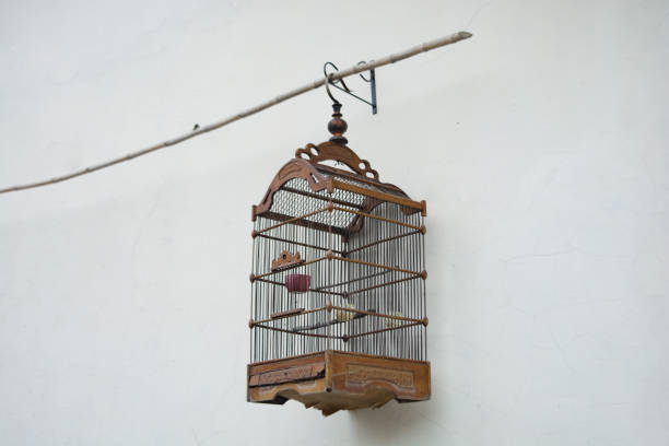 Birds and their cages for sale on the street in China