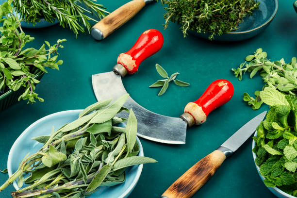 istock A vibrant assortment of fresh culinary herbs. 2193827910
