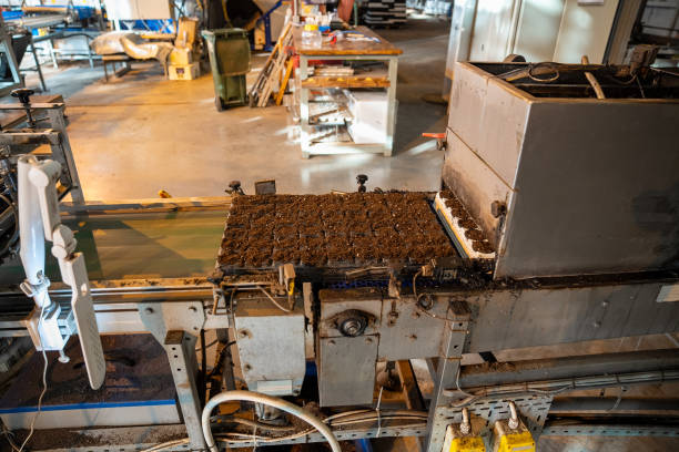istock Pots receive even soil mixture in automatic pallet fill process in laboratory. Low labor setup 2193829065