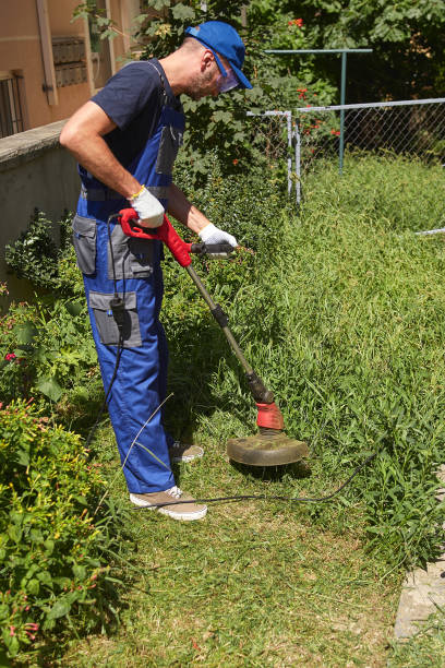 istock Gardener with a grass trimmer cutting overgrown grass and weeds 2193831281