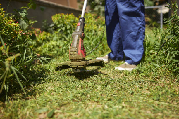 istock Gardener with a grass trimmer cutting overgrown grass and weeds 2193831319