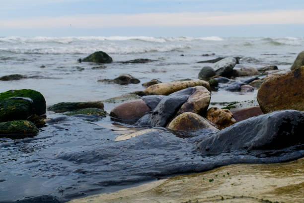 Large oil patches cover the seaside.