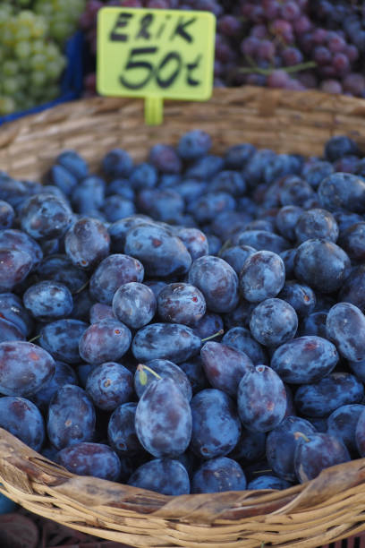 Woman holding basket with plums