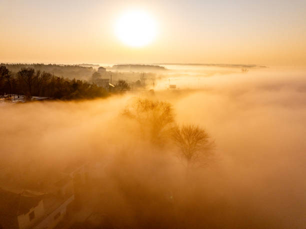 Sunrise and fog in rural forest
