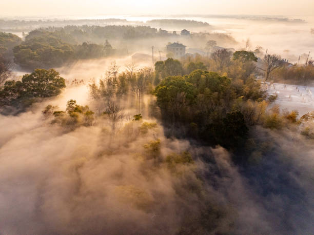 istock Sunrise and fog in rural forest 2193838235