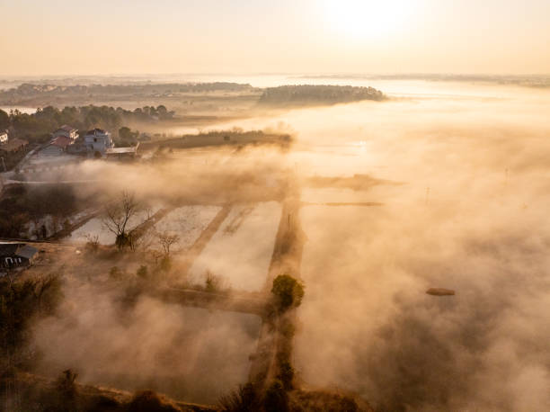 istock Sunrise and fog in rural forest 2193838448