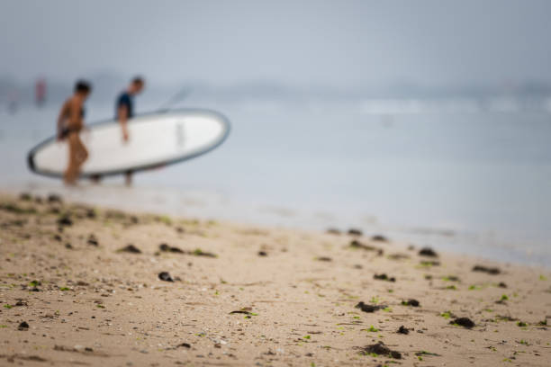 istock Surf instructor is walking with his students on Sanur beach. 2193838874