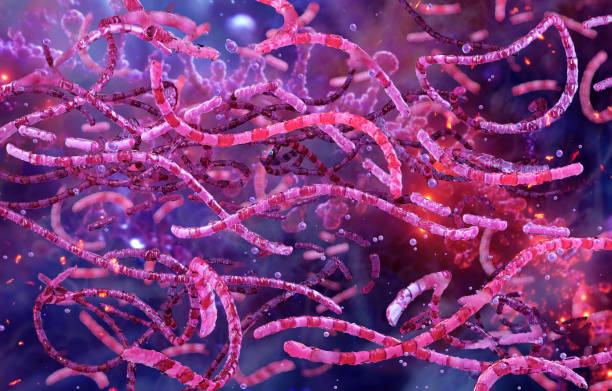 istock Bacillus anthracis, anthrax, bacteria. 3D medical scientific illustration of Bacillus anthracis bacterium 2193840233