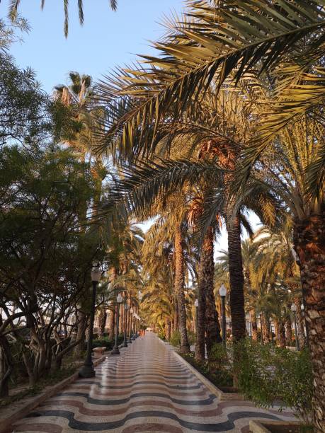 istock The Esplanade in Alicante 2193849839