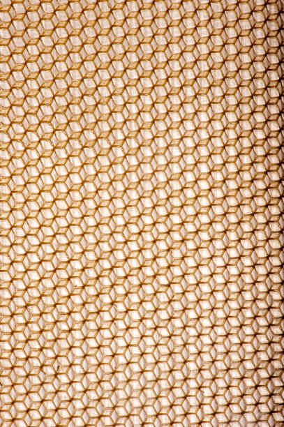 General view of the hexagonal cube shape of the honeycomb