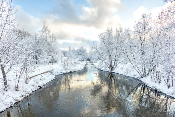 istock River among snow-covered trees in a park in winter with reflective water 2193853674