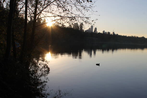 Fall in Burnaby Lake Regional Park in Vancouver with red trees and nature reflected in the lake