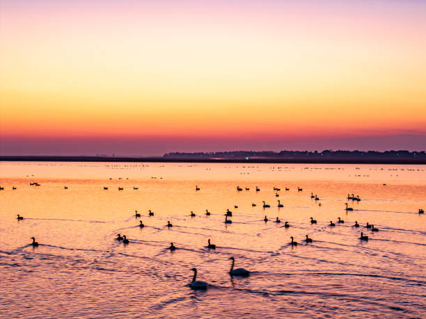 istock Sunset landscape on the lake 2193856977