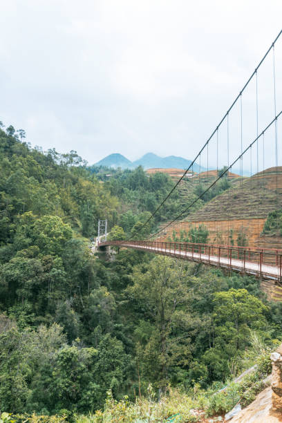 istock Sa Pa, Vietnam. Lush Green Suspension Bridge Pathway 2193860420