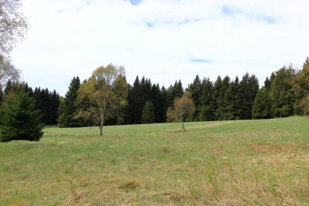 istock green landscape with trees and a meadow in spring 2193861548