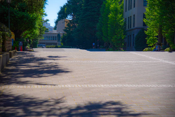 istock Waseda University's main campus in Tokyo 2193872508