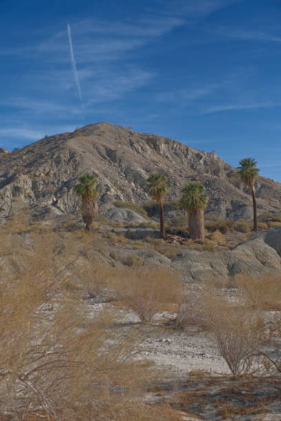 istock California desert views 2193873367