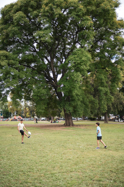 A father and his son spend quality time playing rugby in a park, shaded by a magnificent tree, enjoying the outdoors and connecting. The grassy field offers a peaceful, recreational setting.