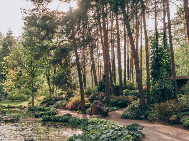istock Beautiful botanical garden with a pond 2193874546