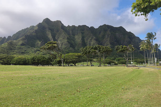 istock Lush Tropical Foliage - Oahu, Hawaii 2193876766