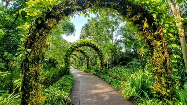 istock Lush Green Archway Path in a Serene Botanical Garden 2193877775