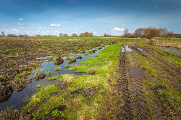 istock Water on a rural field and road in eastern Poland 2193878509