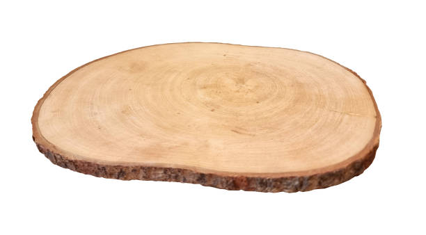 istock real wood stump platform podium isolated on background with clipping path. minimal empty stage for display product, presentation scene. 2193883399