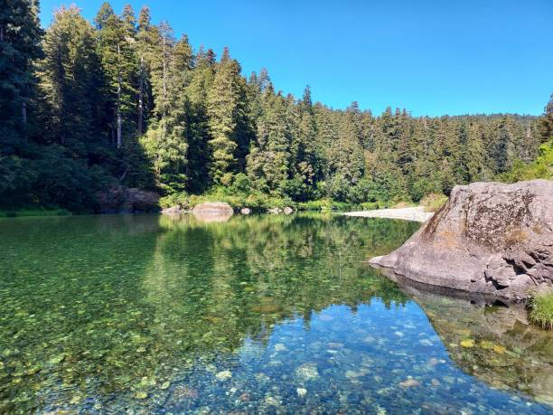 istock Smith River in Jedediah Smith Redwoods State Park California 2193887009