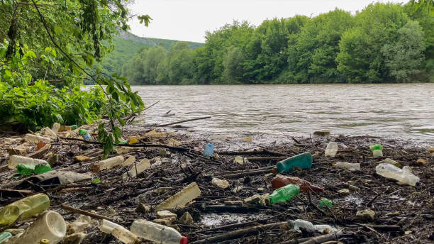 istock Polluted Riverside With Plastic Bottles and Debris - Environmental Challenges 2193887406