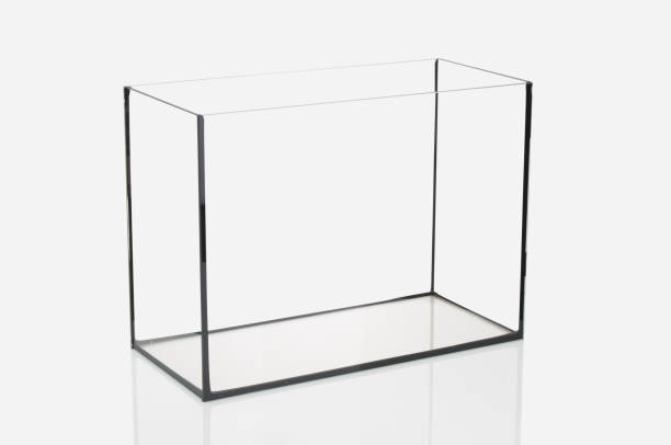 Empty rectangular aquarium on a gray background stock photo